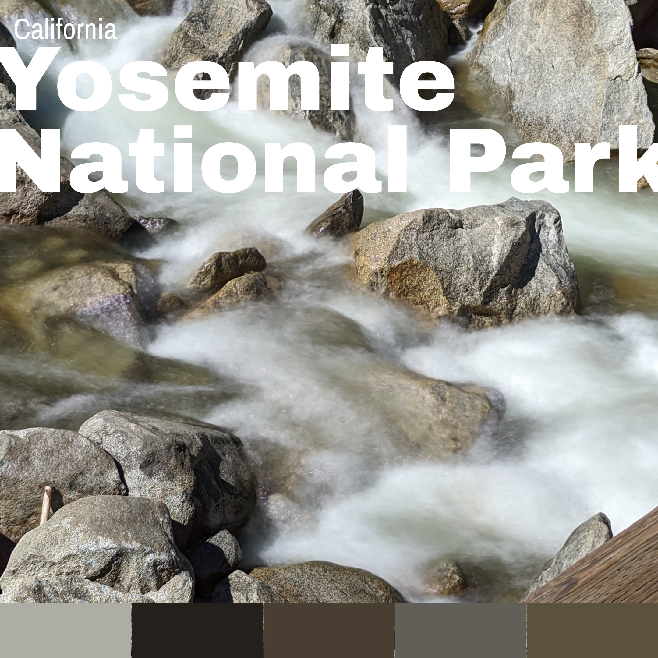 YNP-1